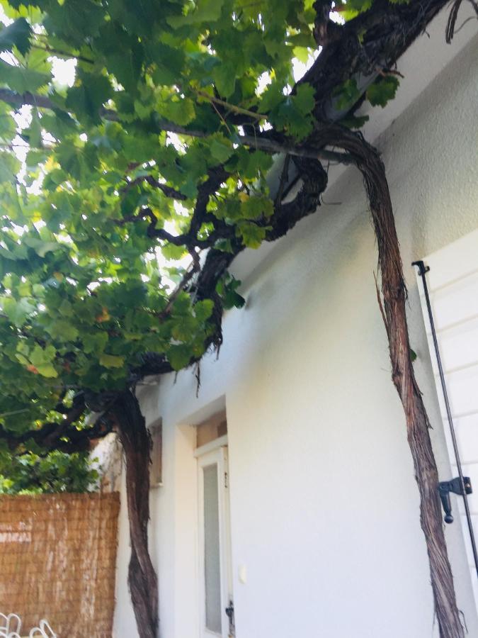 Holiday Home Casa Bianca Sukošan Εξωτερικό φωτογραφία